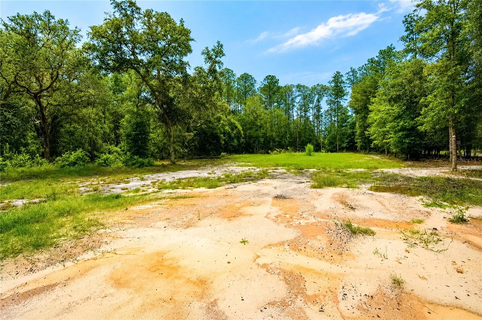 Land at 261 ASHLEY LAKE DR, MELROSE, photo 5 of 10