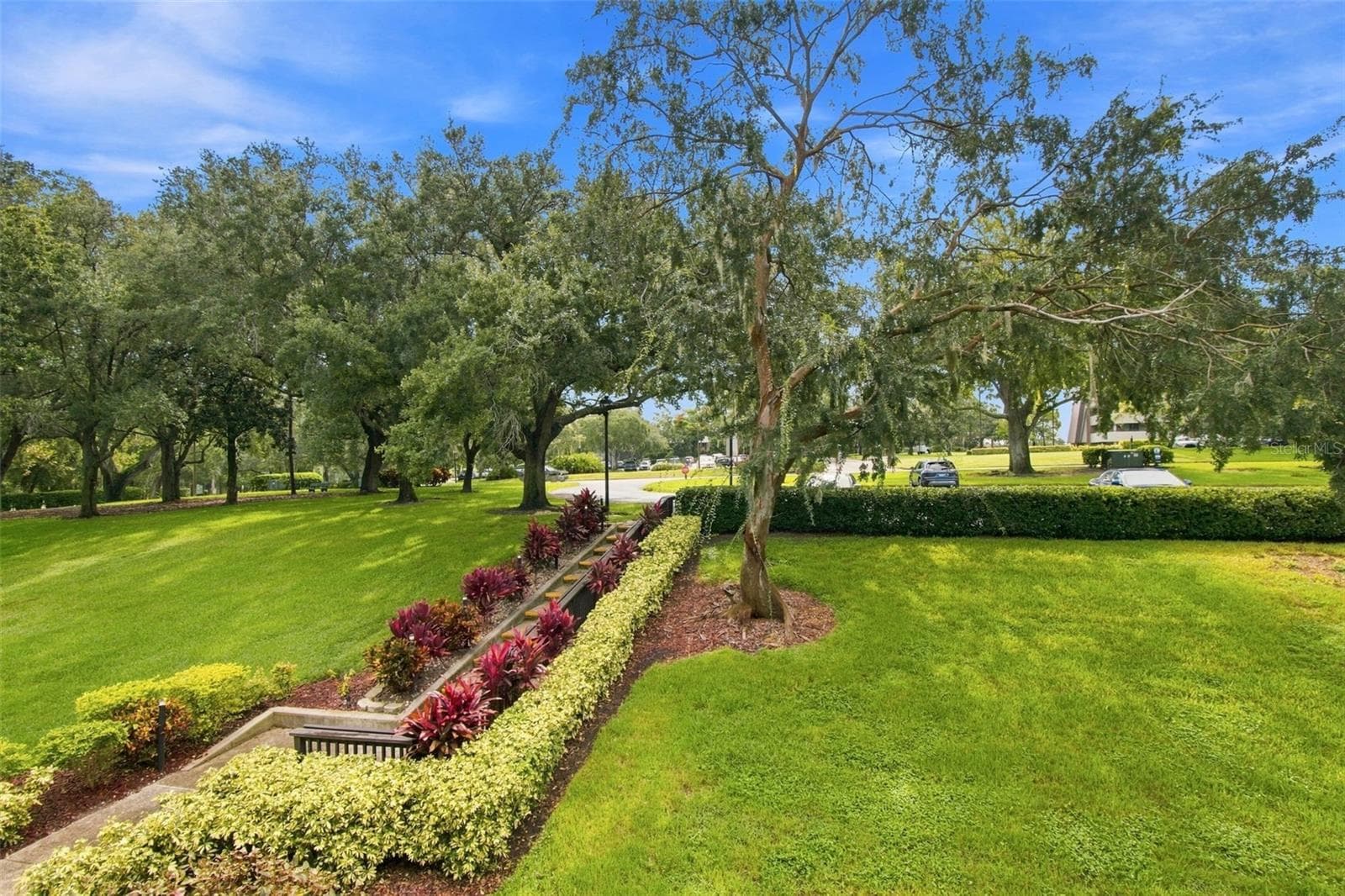 Condominium at 36750 US HIGHWAY 19 N #16204, PALM HARBOR, photo 34 of 64