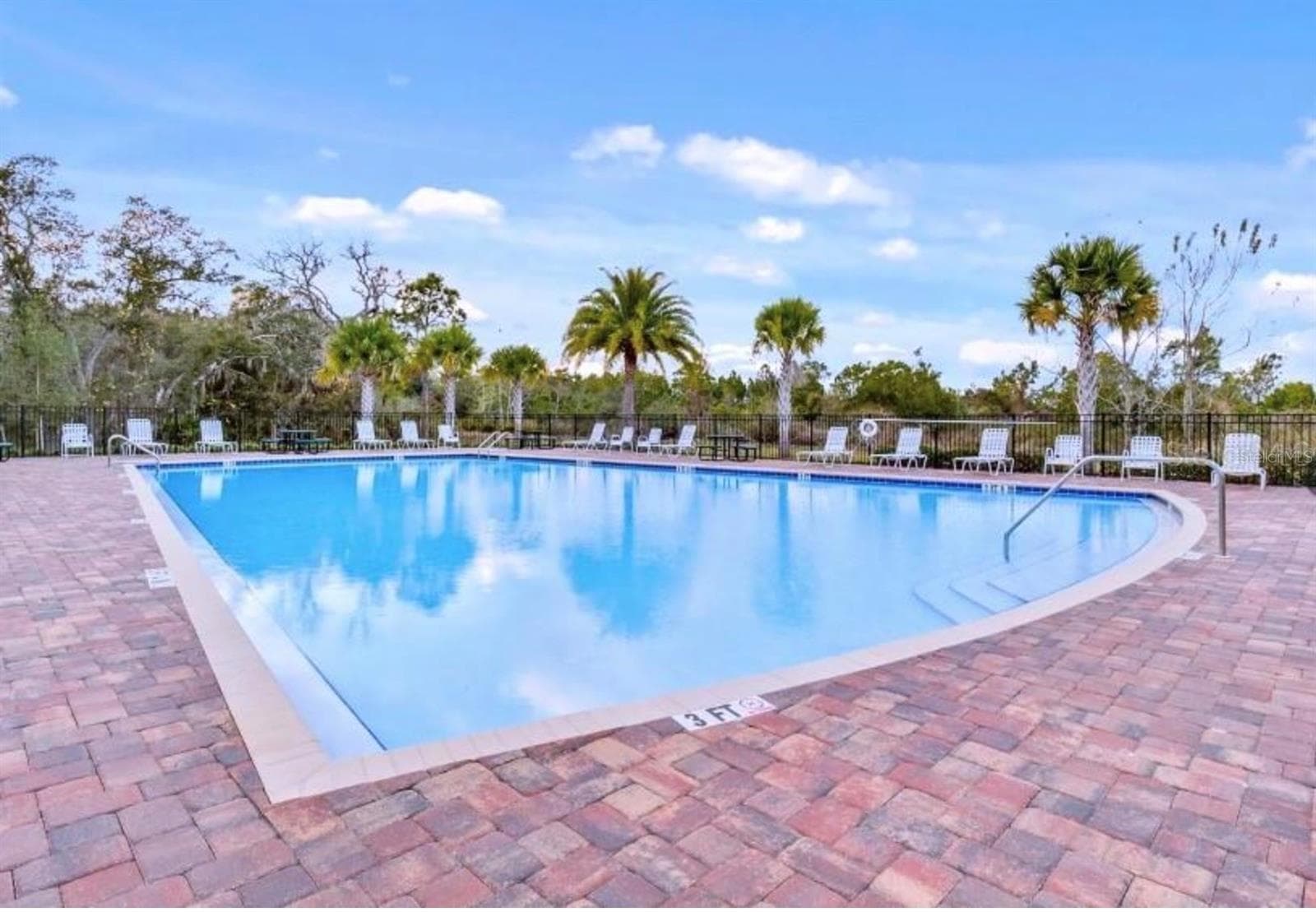 Sawgrass Pool - 16021 CHAMPLAIN ST, CLERMONT