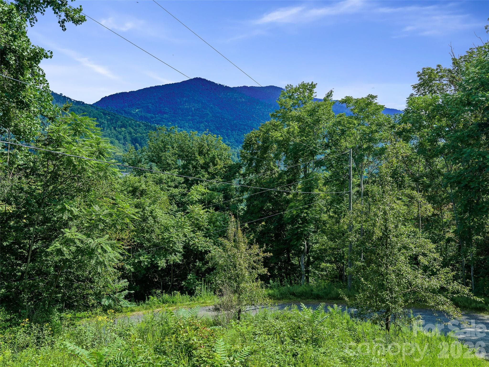 Lot #63-65 Bear Ridge Road