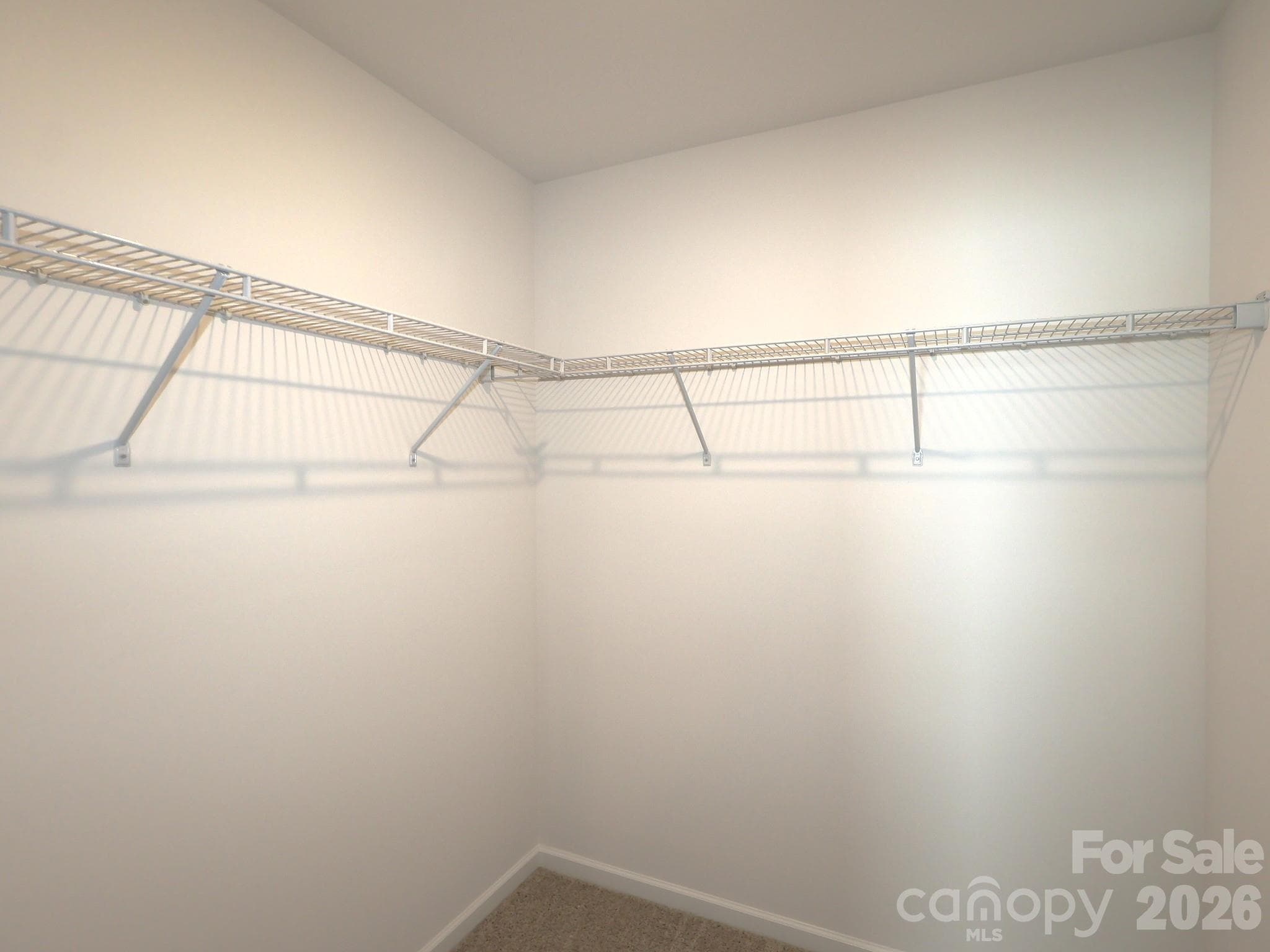 Owner's suite - 1414 Bucknell Street, Wingate