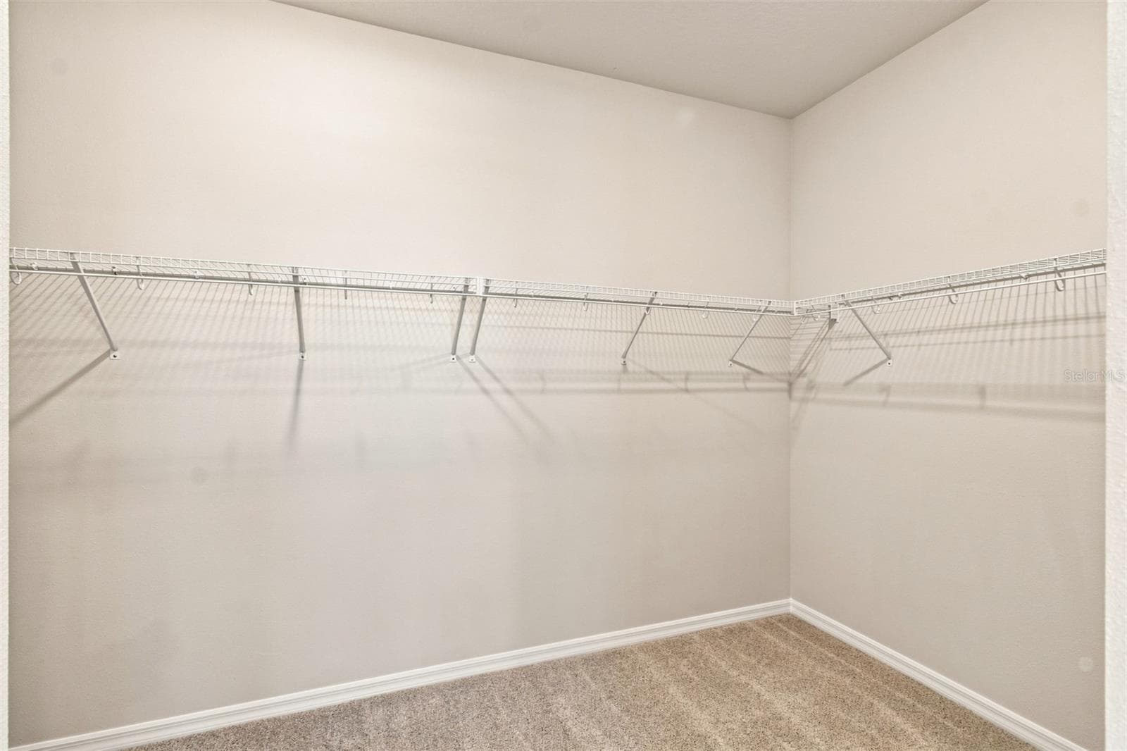 Owner's Closet - 314 STETSON RISE CT, PLANT CITY