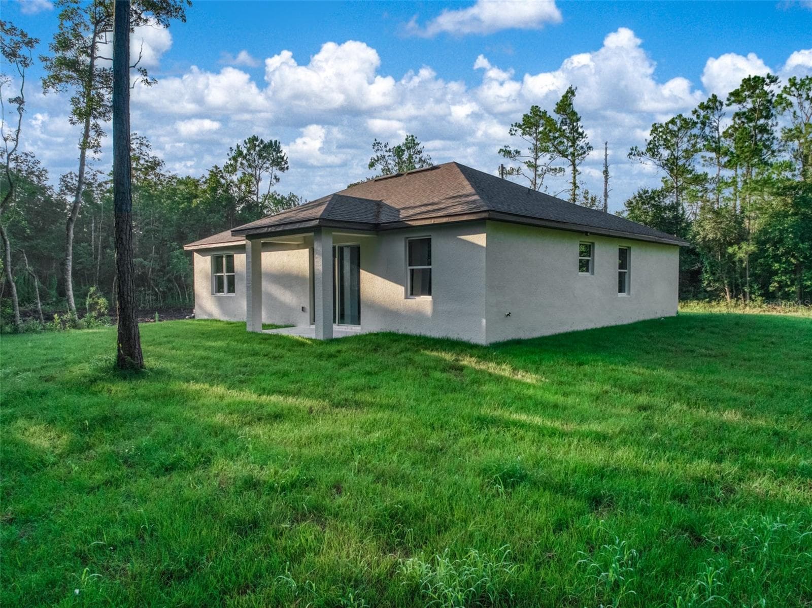 Back of home - 8636 SUN N LAKE BLVD, SEBRING