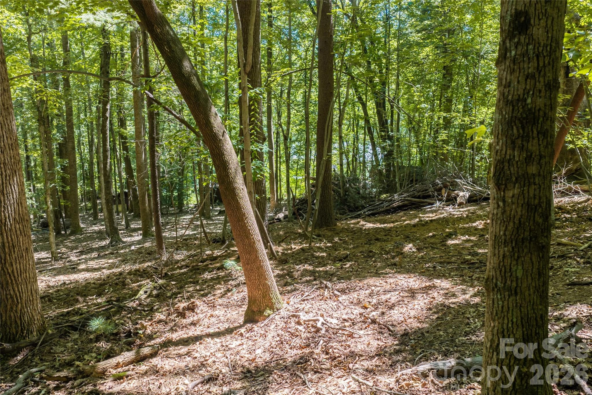 A completed, geotechnical survey, a favorable perc test as required from the town of Laurel Park, and traditional survey all available - 99999 Sabine Drive, Laurel Park