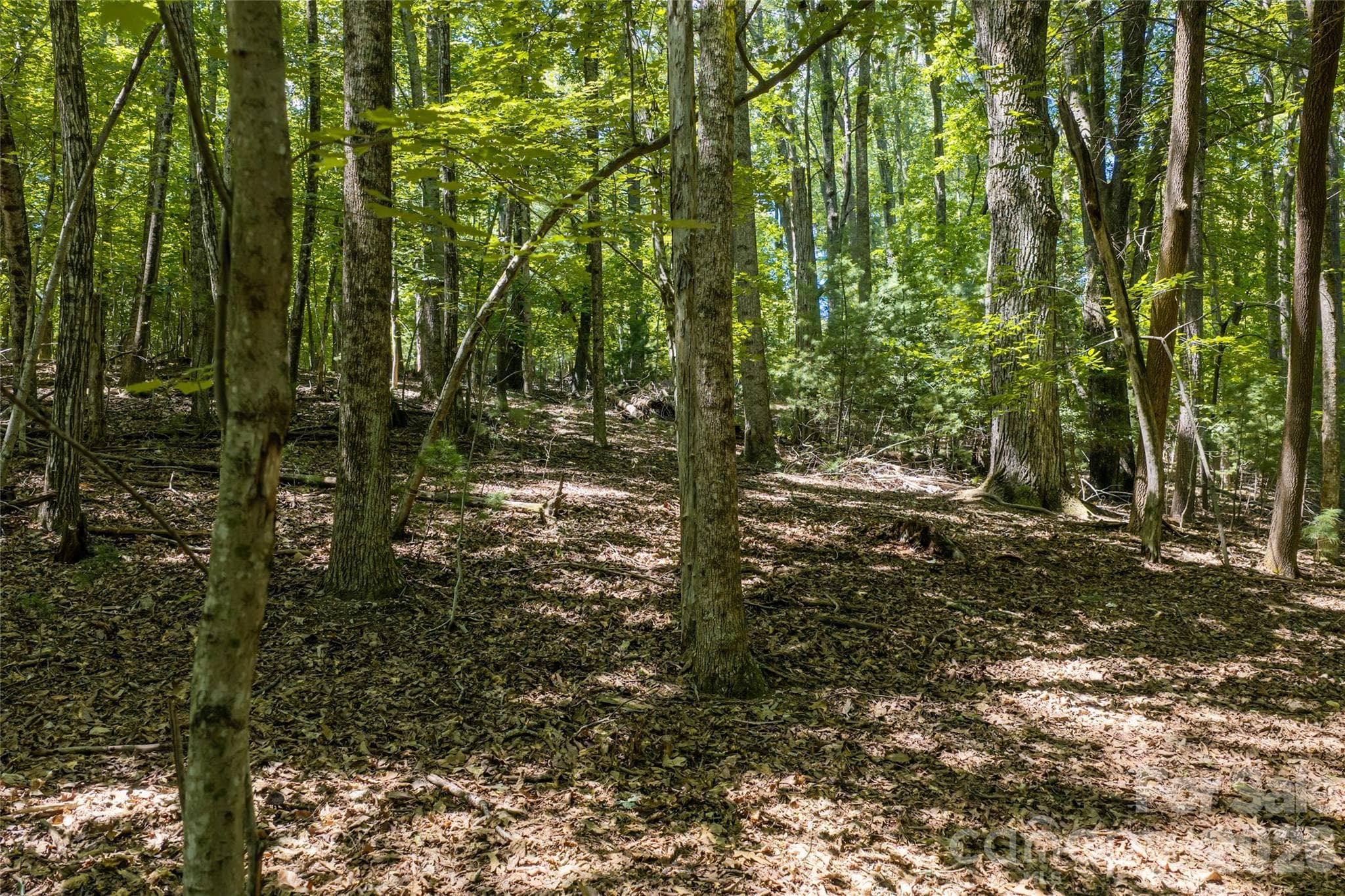 A completed, geotechnical survey, a favorable perc test as required from the town of Laurel Park, and traditional survey all available - 99999 Sabine Drive, Laurel Park