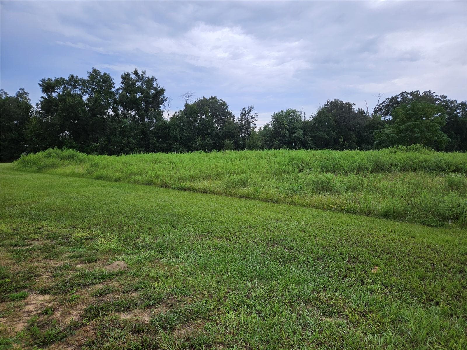 Land at 8801 VALERIE CT, ZEPHYRHILLS, photo 3 of 8