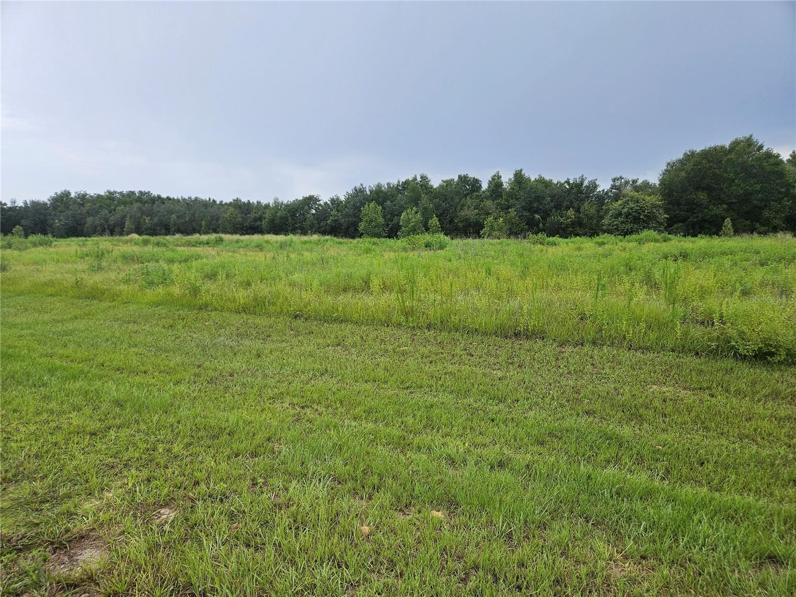 Land at 8881 VALERIE CT, ZEPHYRHILLS, photo 3 of 6