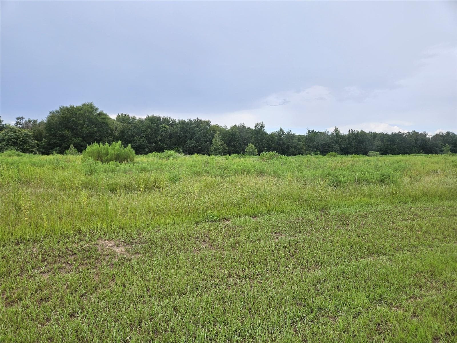 Land at 8881 VALERIE CT, ZEPHYRHILLS, photo 4 of 6
