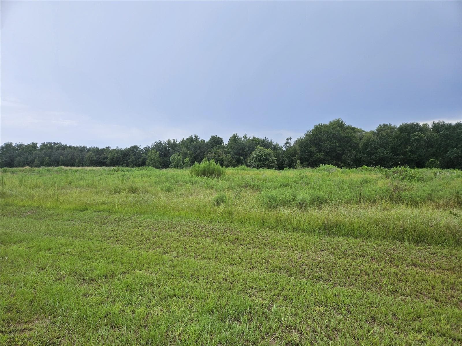 Land at 8881 VALERIE CT, ZEPHYRHILLS, photo 6 of 6