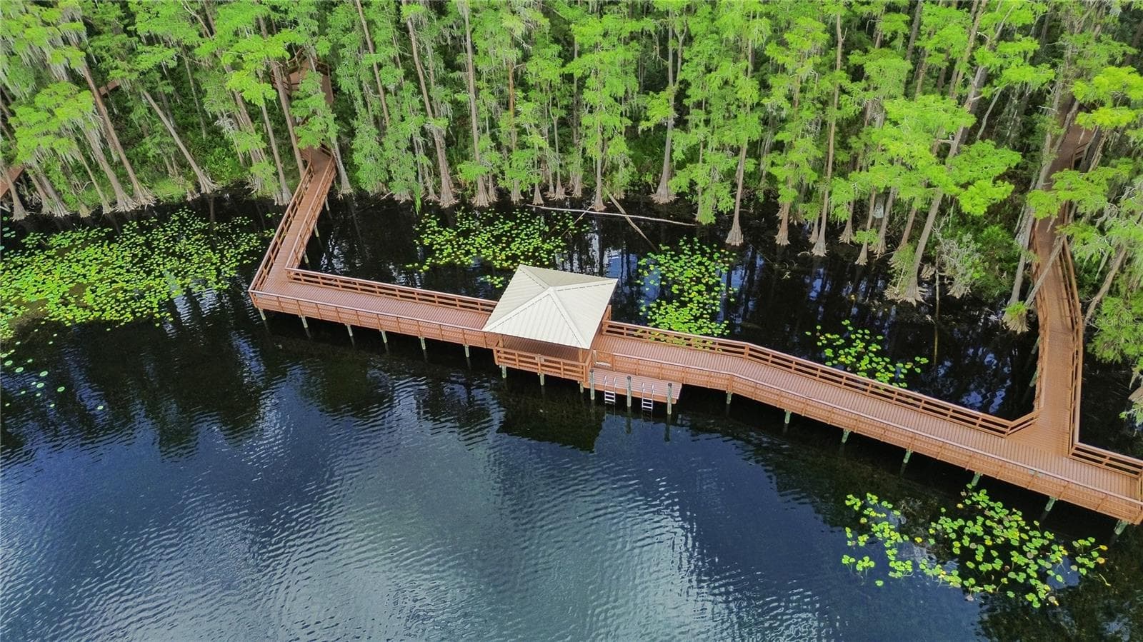 The Preserve at Lake St Thomas has a beautiful lakeside walking path - 5824 FISH CROW PL, LAND O LAKES