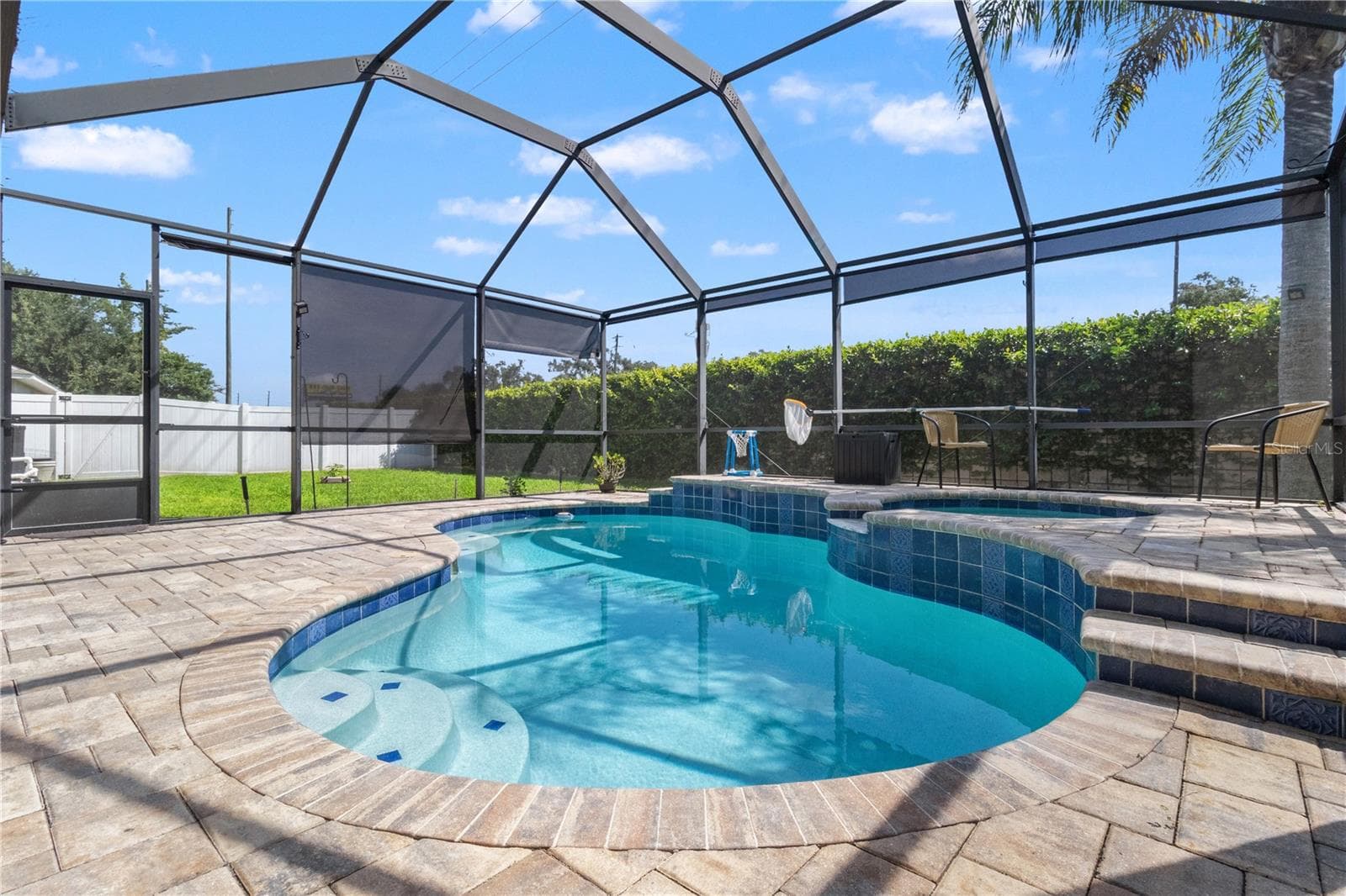 The pool is fully caged to protect you from Florida pests. - 5824 FISH CROW PL, LAND O LAKES