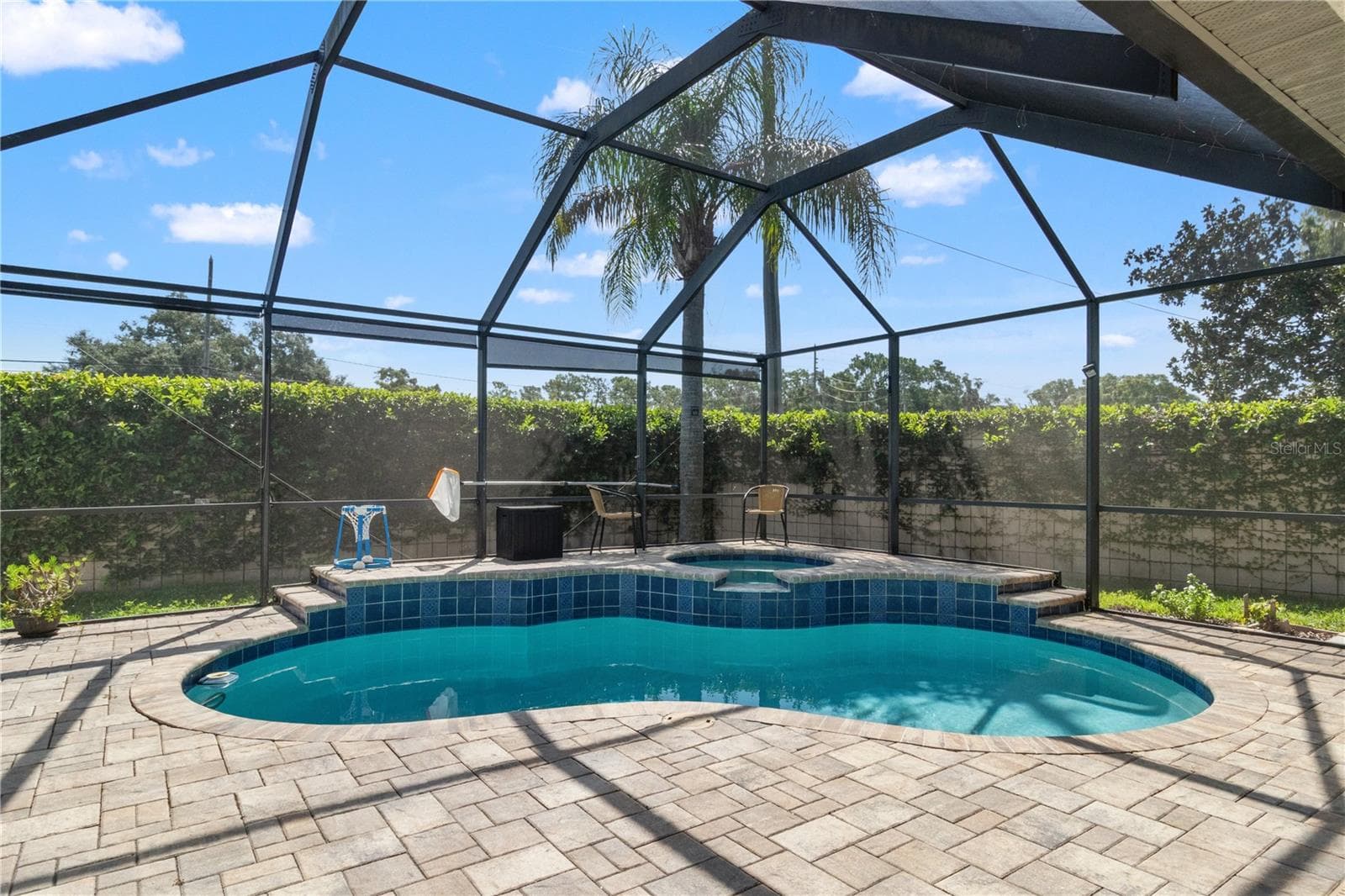 The pavered pool deck serves at the base for this fabulous relaxing or entertaining area. - 5824 FISH CROW PL, LAND O LAKES