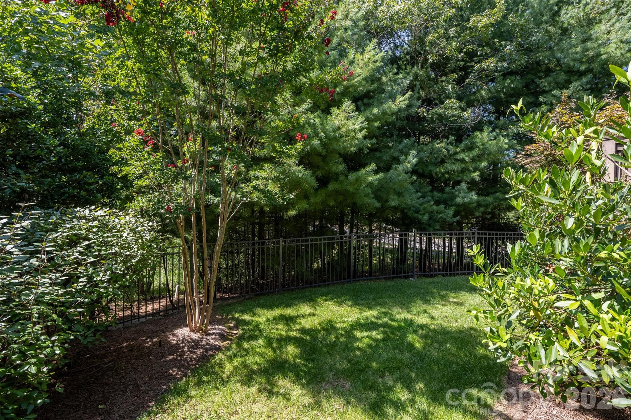 very private back yard - Asheville