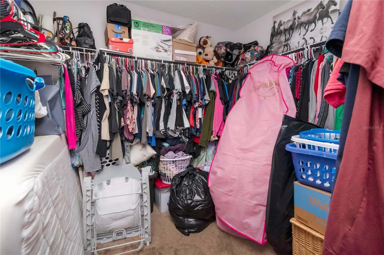primary wakin closet - 19604 TIMBERBLUFF DR, LAND O LAKES