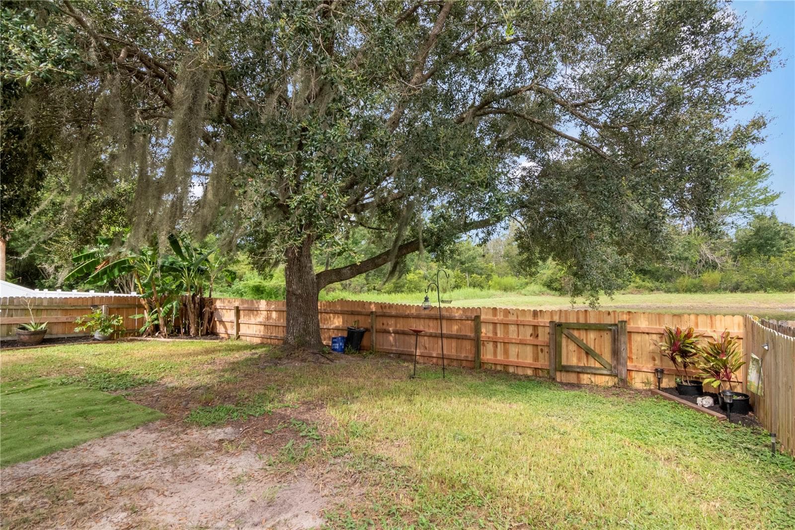 fenced backyard - 19604 TIMBERBLUFF DR, LAND O LAKES