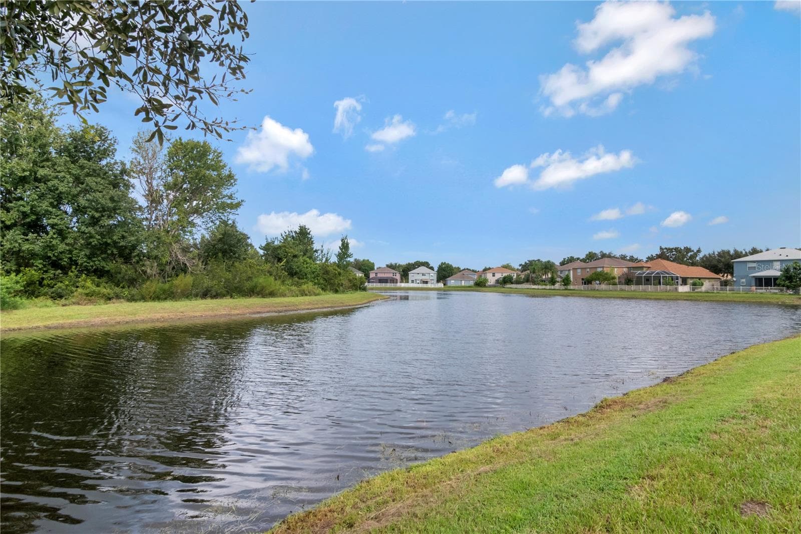 pond view - 19604 TIMBERBLUFF DR, LAND O LAKES