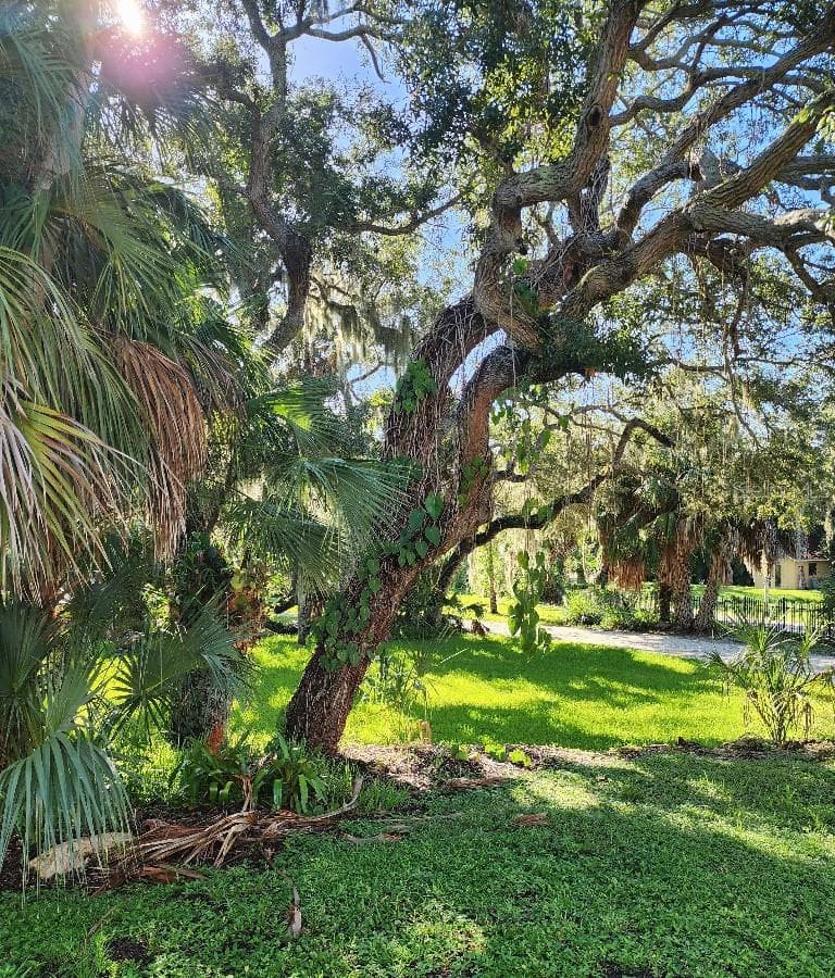 Single Family Residence at 6511 BAYSHORE RD, PALMETTO, photo 45 of 48