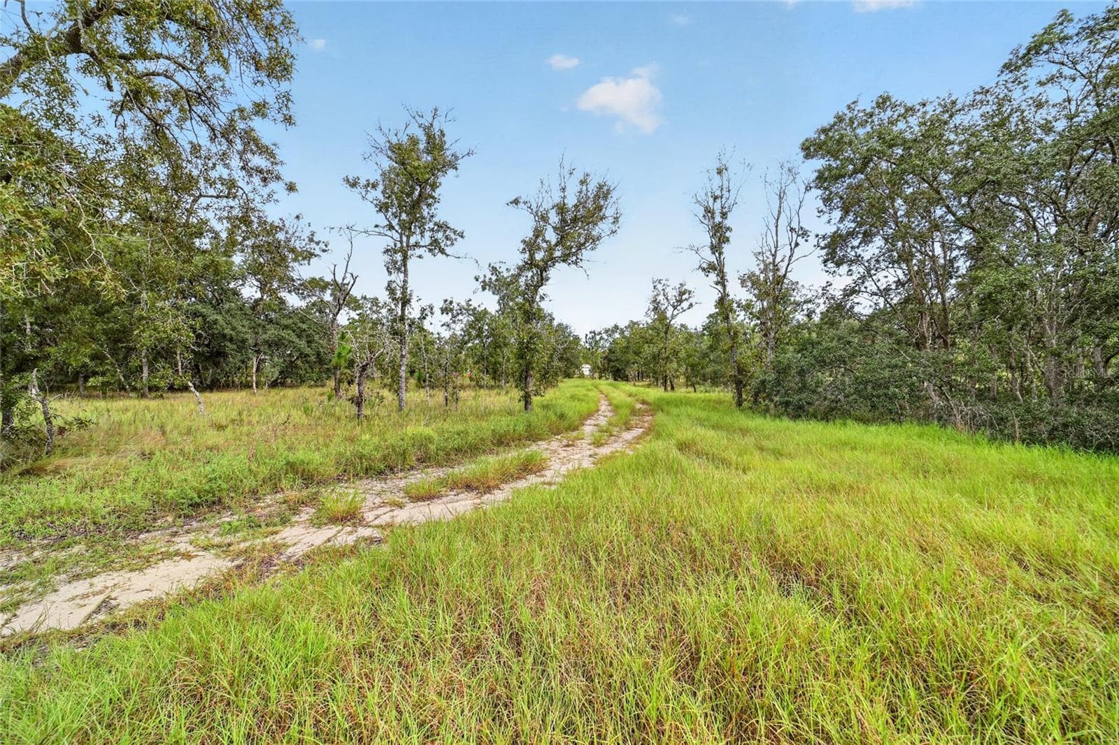 Manufactured Home at 13291 SE 101ST PL, DUNNELLON, photo 17 of 71