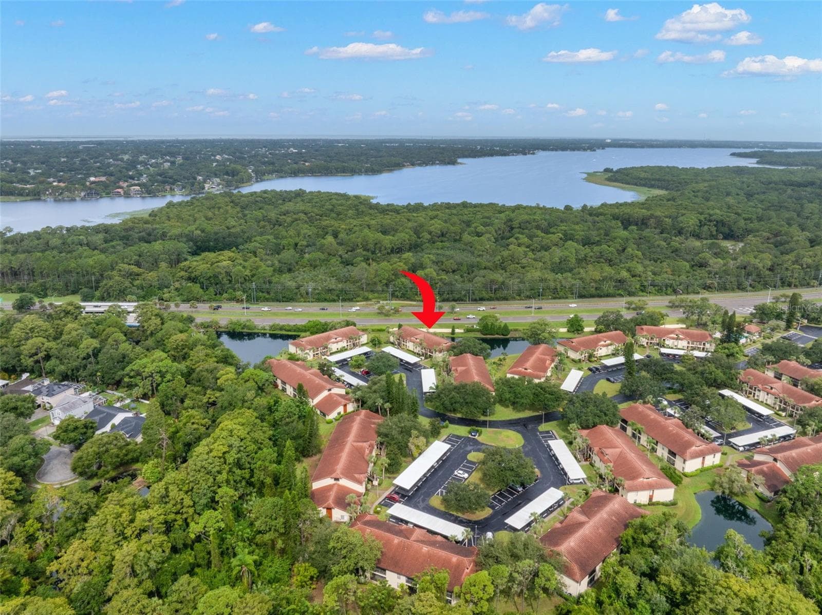 Condominium at 1801 E LAKE RD #19D, PALM HARBOR, photo 44 of 53