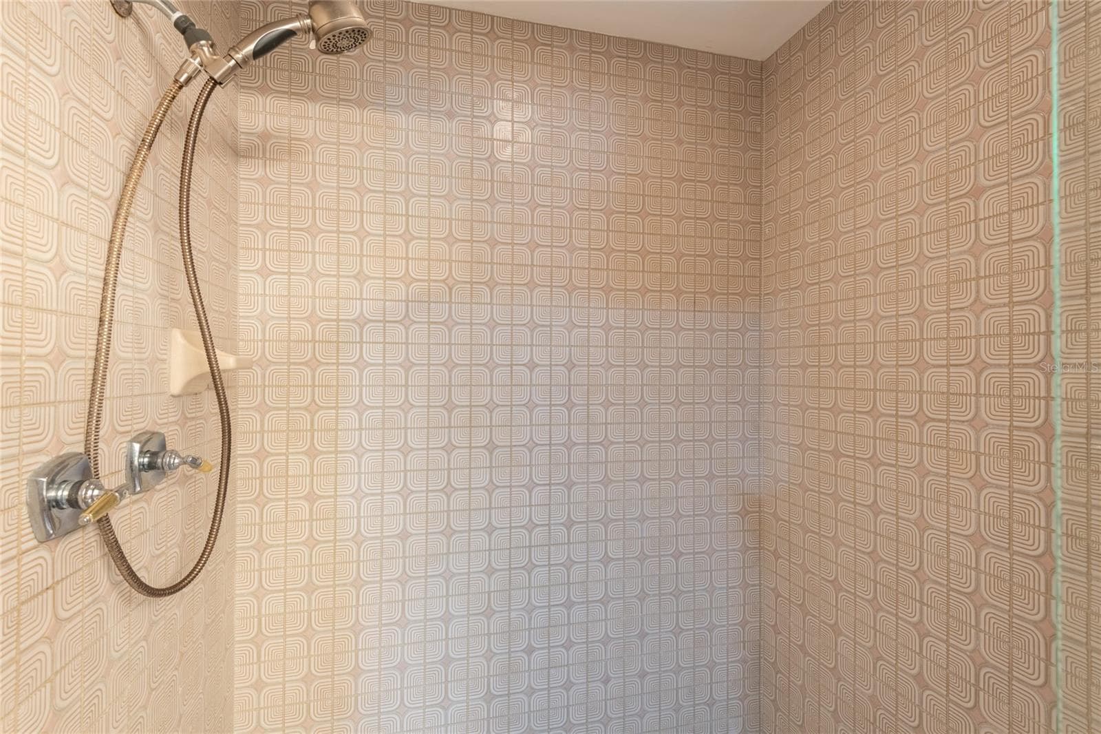 Walk in Primary shower - 16509 E COURSE DR, TAMPA