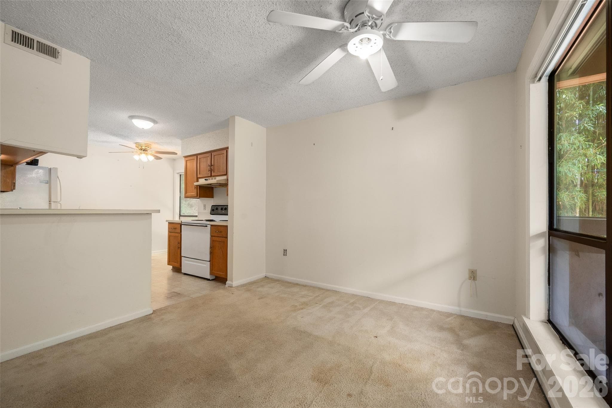 Condominium at 7203 Winery Lane, Charlotte, photo 8 of 38