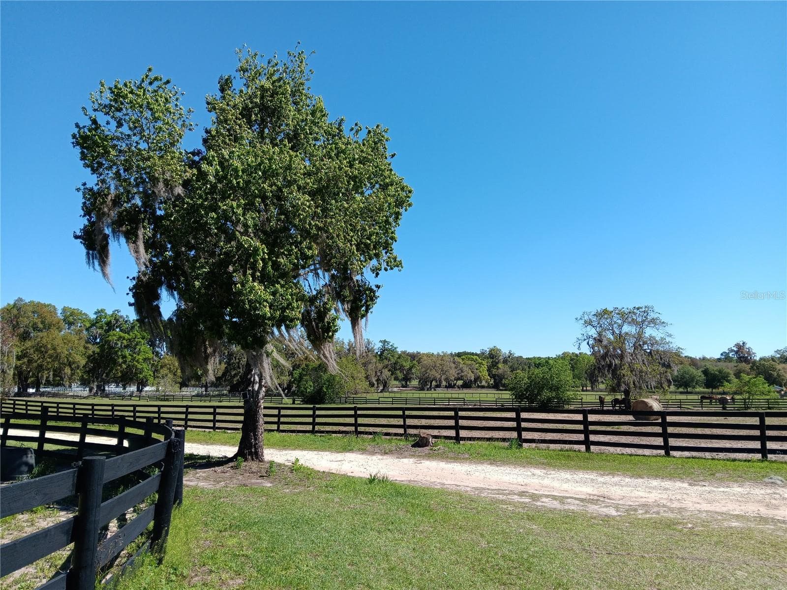 Land at 2630 NW 140TH ST, CITRA, photo 2 of 24