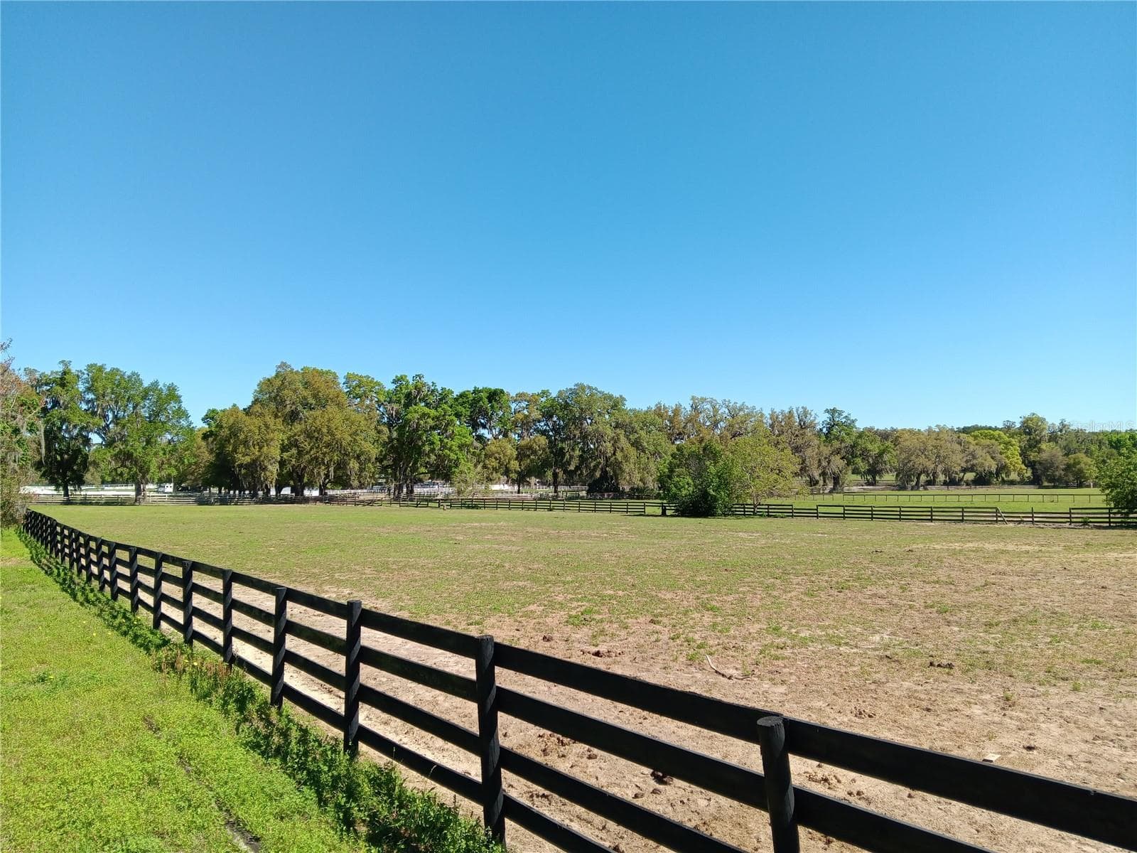 Land at 2630 NW 140TH ST, CITRA, photo 3 of 24