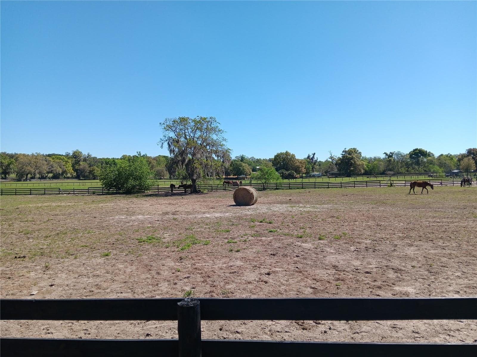 Land at 2630 NW 140TH ST, CITRA, photo 4 of 24