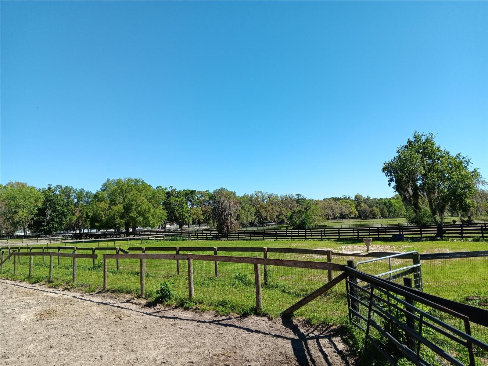 Land at 2630 NW 140TH ST, CITRA, photo 5 of 24