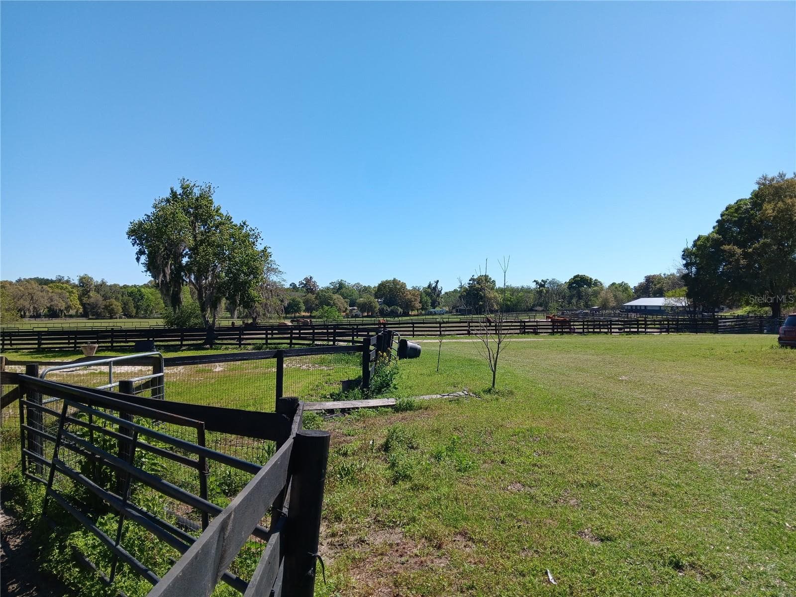 Land at 2630 NW 140TH ST, CITRA, photo 14 of 24