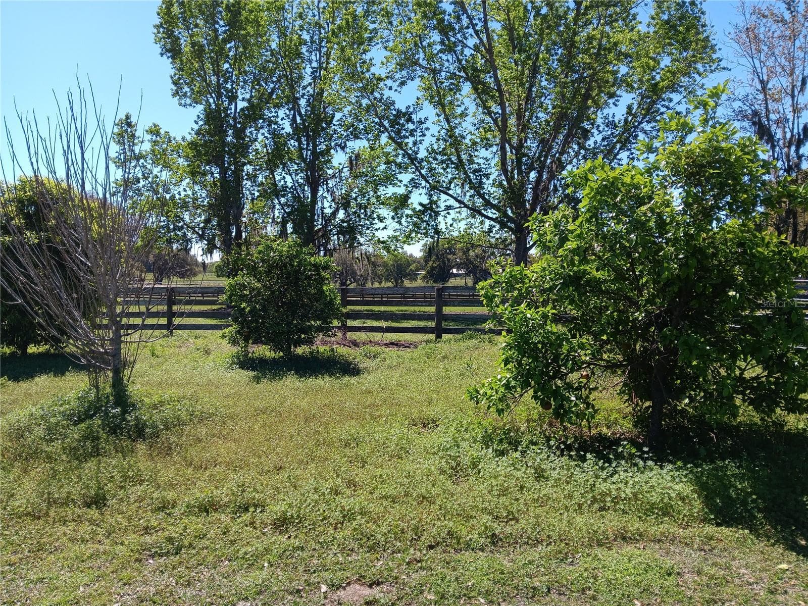 Land at 2630 NW 140TH ST, CITRA, photo 15 of 24
