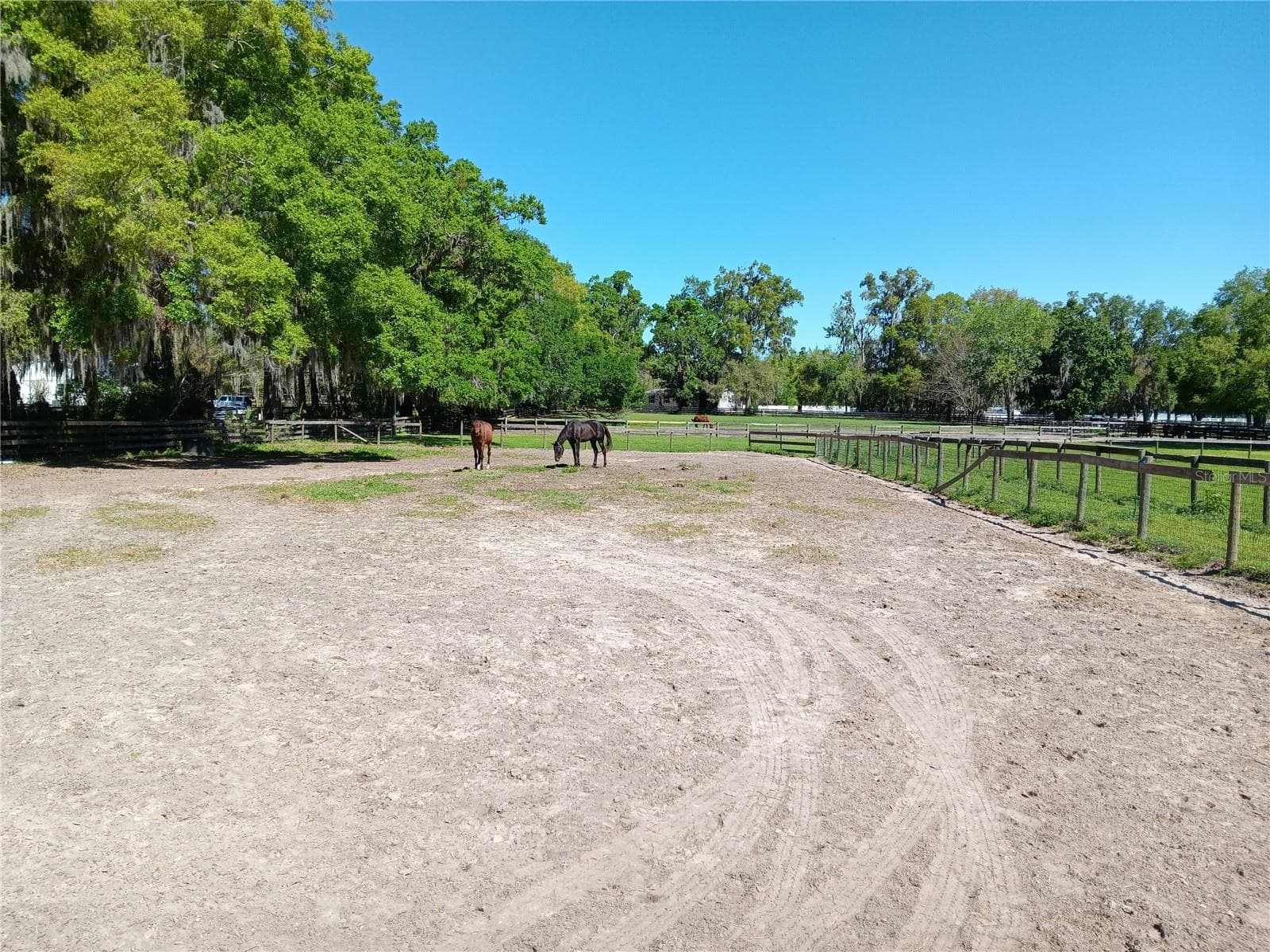 Land at 2630 NW 140TH ST, CITRA, photo 16 of 24