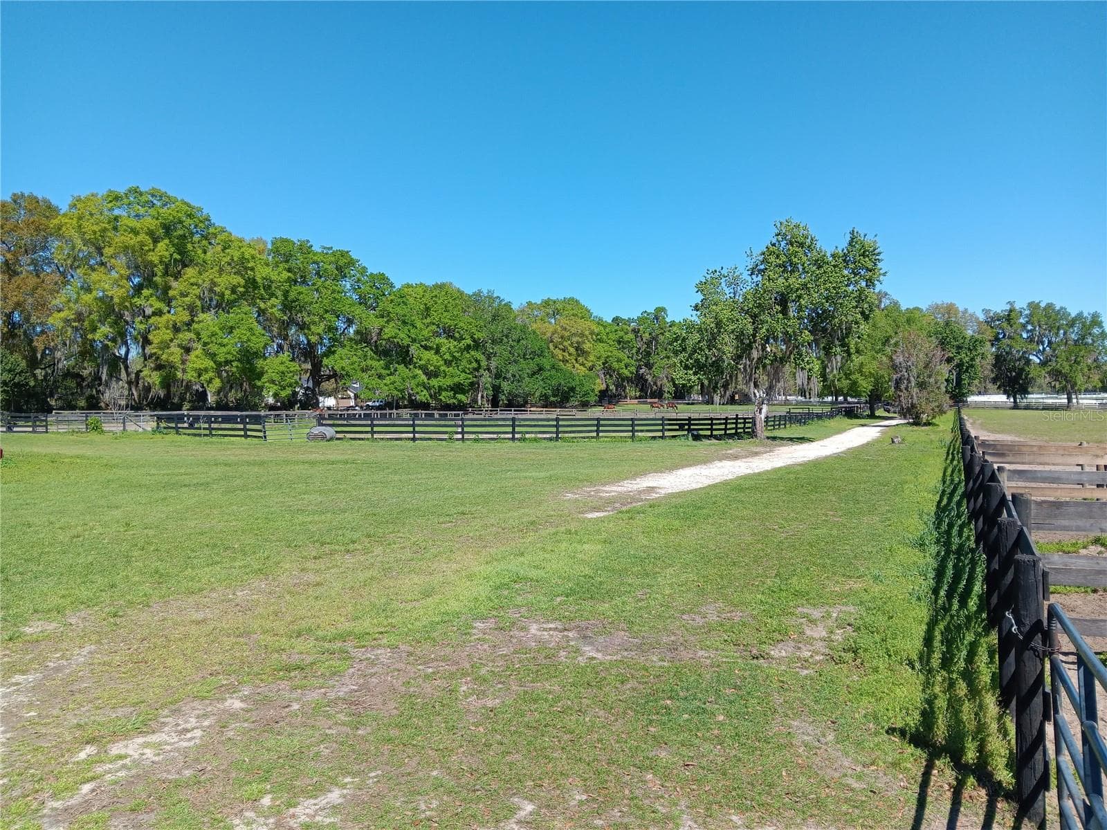 Land at 2630 NW 140TH ST, CITRA, photo 17 of 24