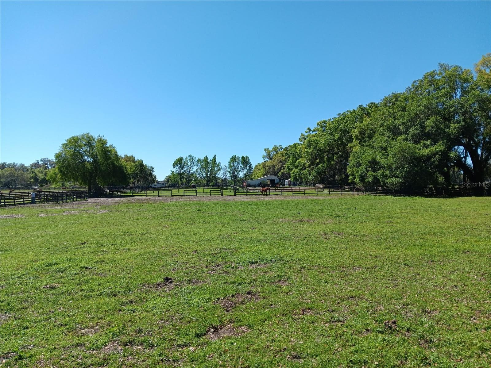 Land at 2630 NW 140TH ST, CITRA, photo 20 of 24