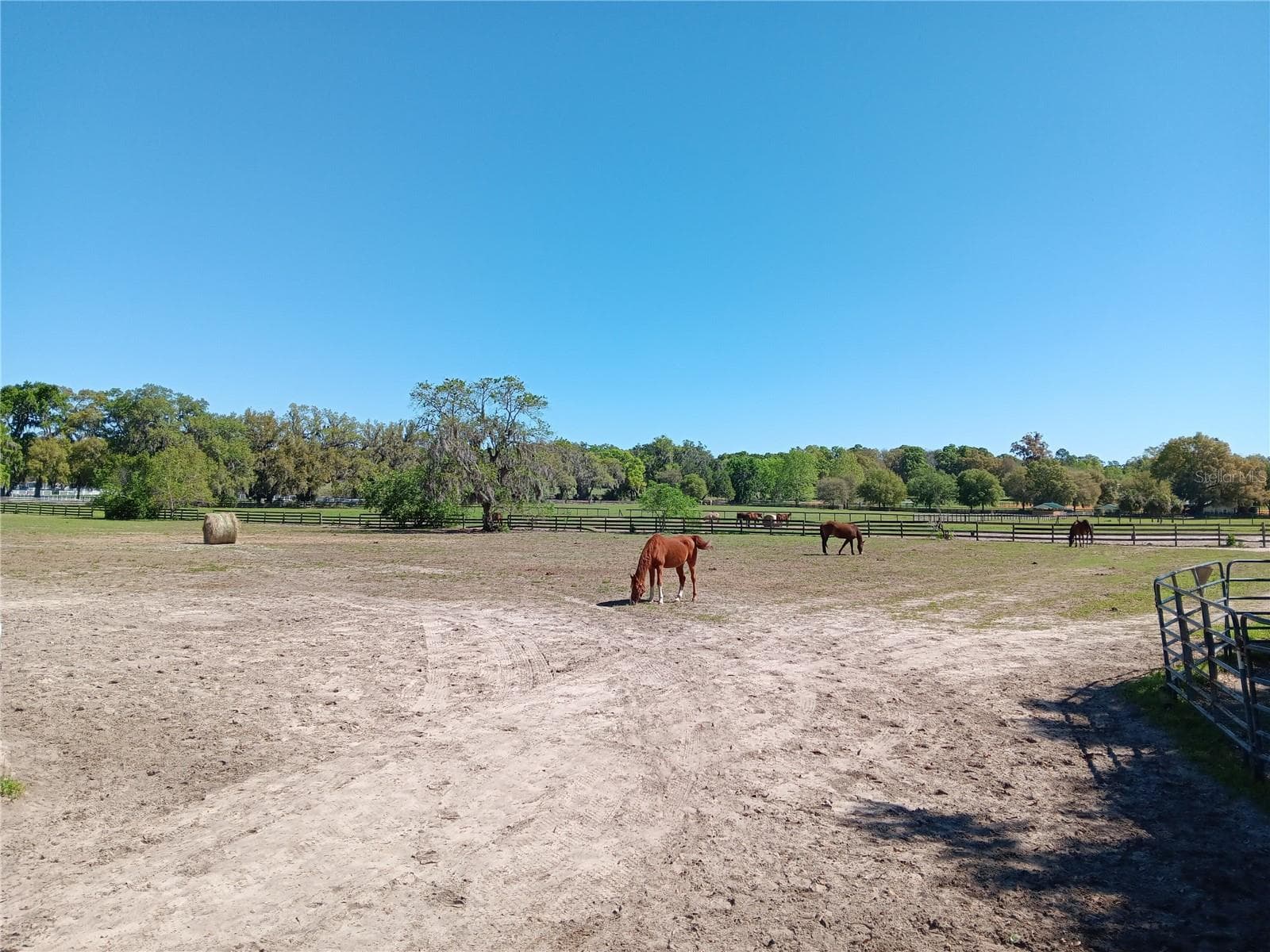 Land at 2630 NW 140TH ST, CITRA, photo 21 of 24