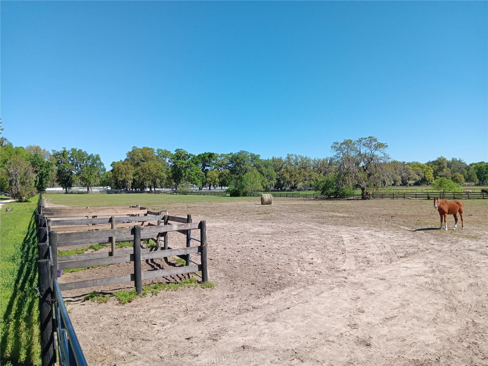 Land at 2630 NW 140TH ST, CITRA, photo 22 of 24