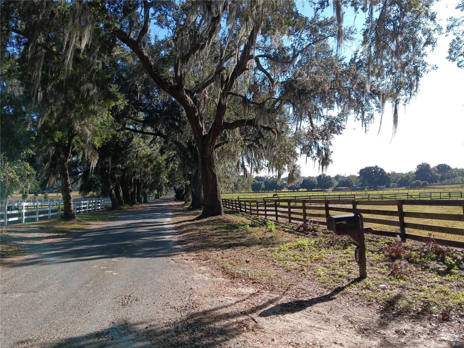 Land at 2630 NW 140TH ST, CITRA, photo 23 of 24