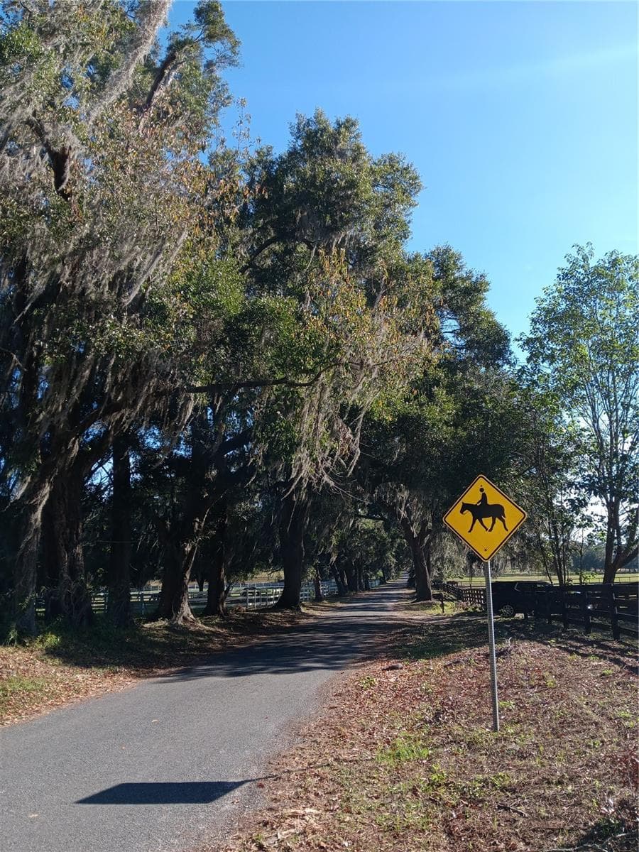 Land at 2630 NW 140TH ST, CITRA, photo 24 of 24