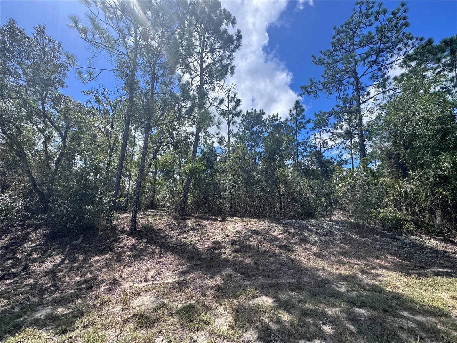 Land at 0 SW EGDEWATER BLVD, DUNNELLON, photo 20 of 21