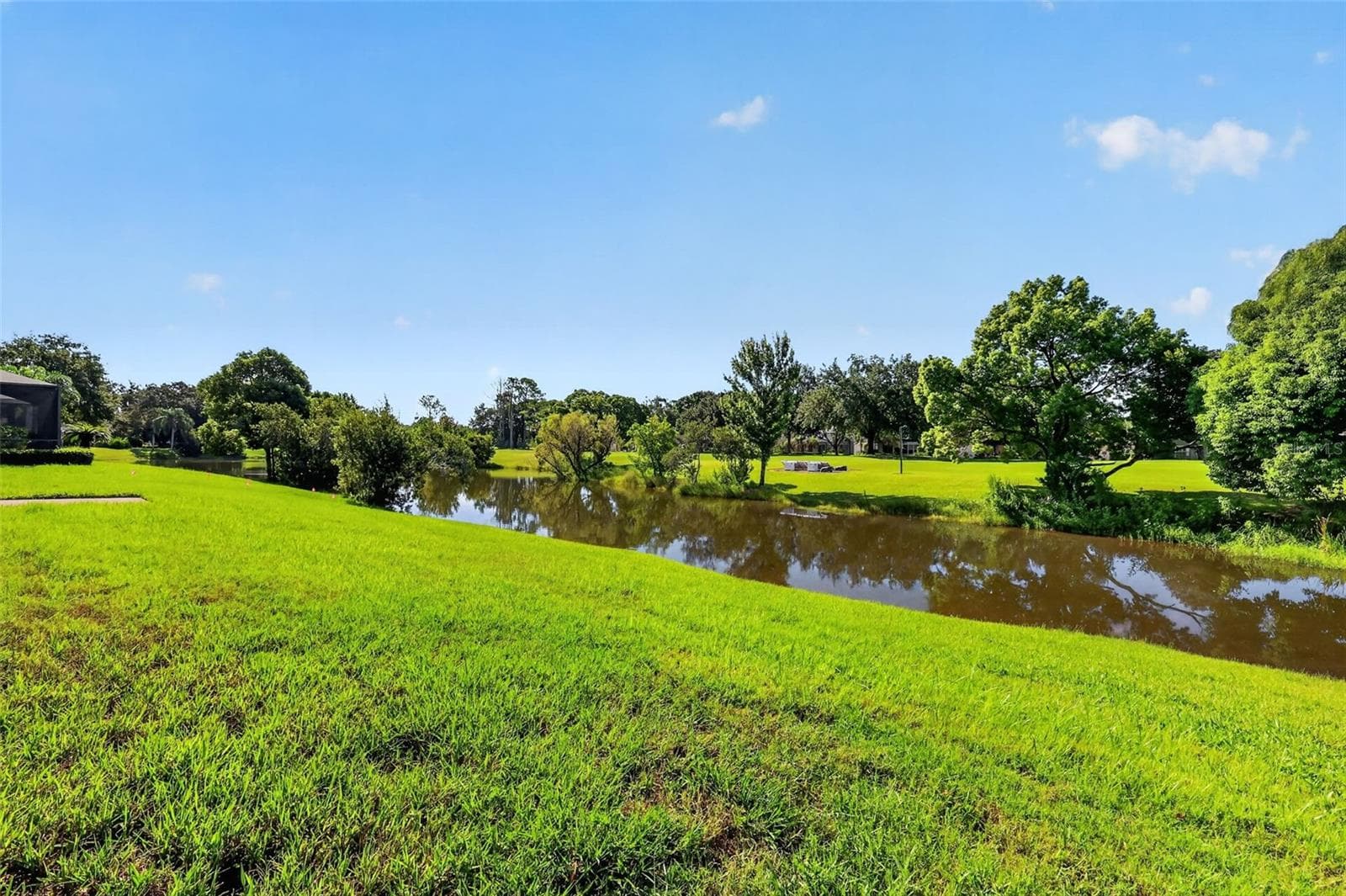 Single Family Residence at 6022 FALCONBRIDGE PL, MOUNT DORA, photo 29 of 34