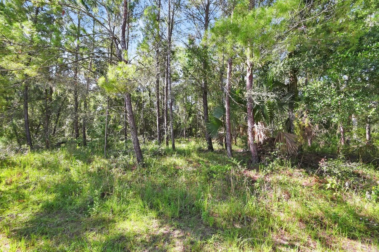 1964 S FARM RD