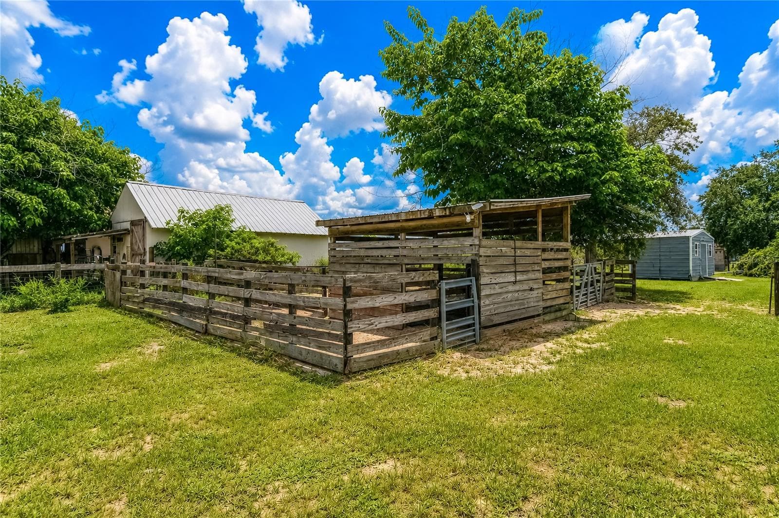 Farm at 10525 SW 129TH TERRACE RD, DUNNELLON, photo 56 of 73