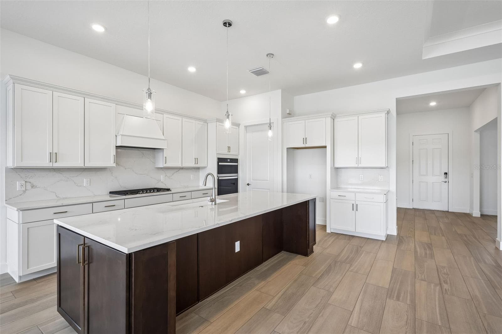 Stylish Built-in Kitchen - 16694 HARVEST LEAF RD, SPRING HILL