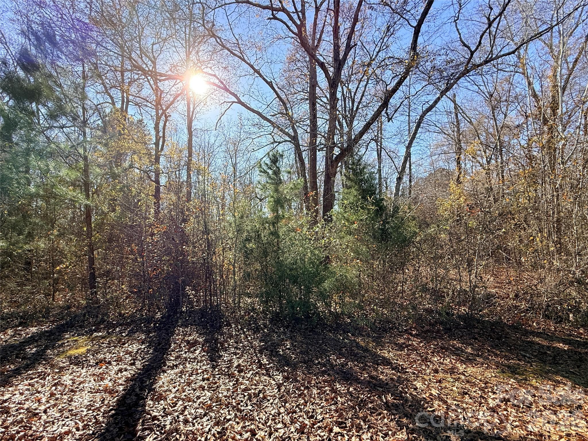 Lot at Lancaster, photo 2 of 6