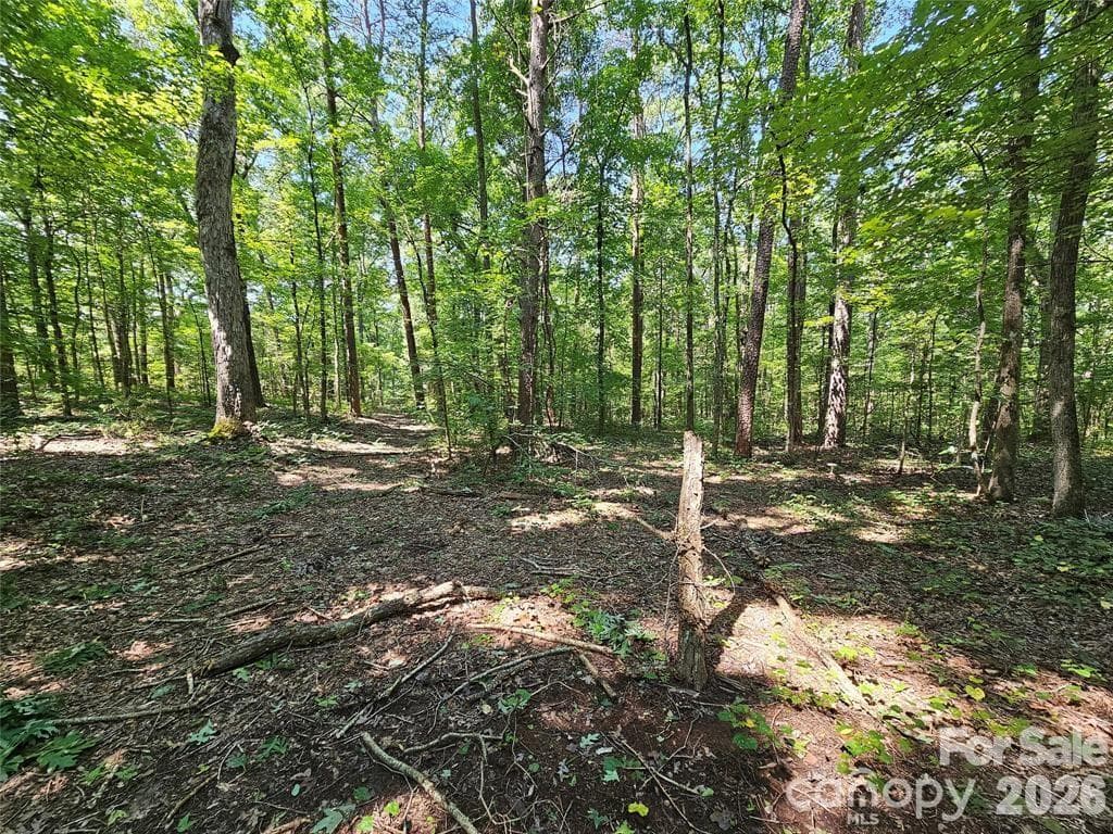 Acreage at 625 Dream Lane, Salisbury, photo 10 of 46