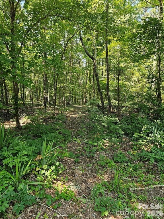 Acreage at 625 Dream Lane, Salisbury, photo 18 of 46