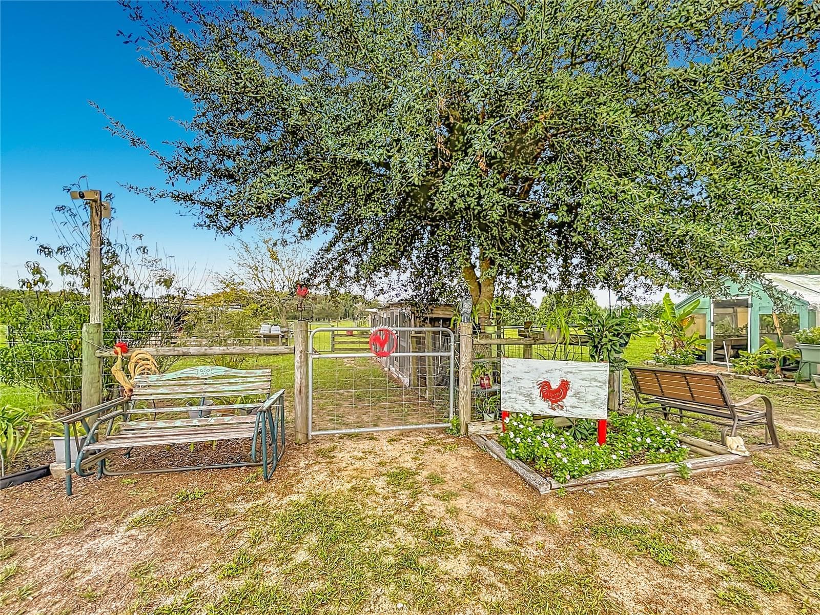 The possibilities are endless. Goats, sheep, chickens, birds...... - 18030 BAYAMON AVE, POLK CITY