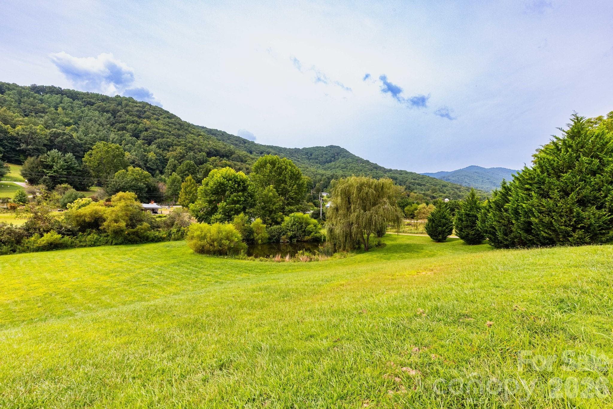 Front yard view - 18 Hoye Lane, Candler