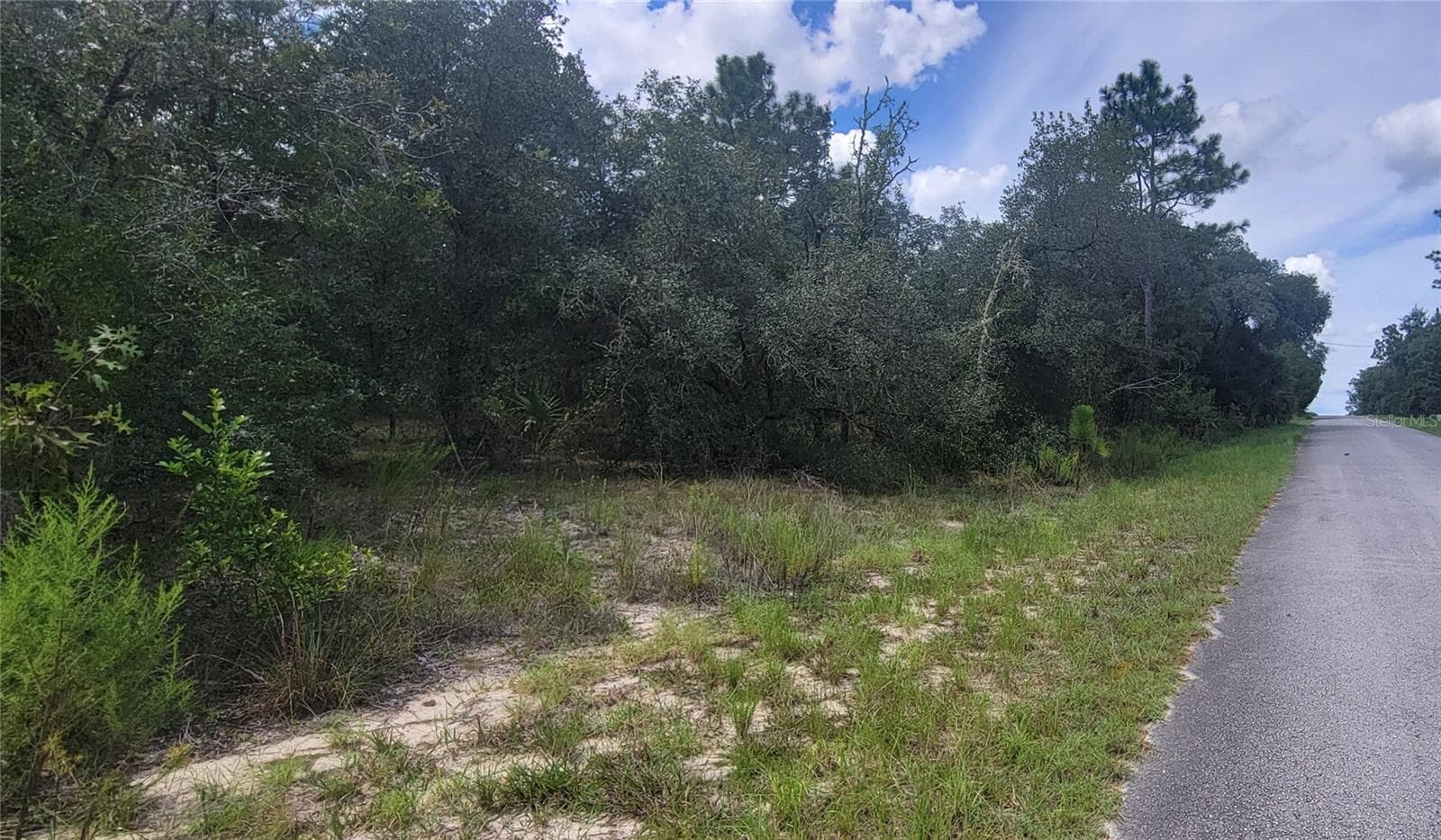 Land at 0 SW BIG BEAR RDG, DUNNELLON, photo 3 of 20