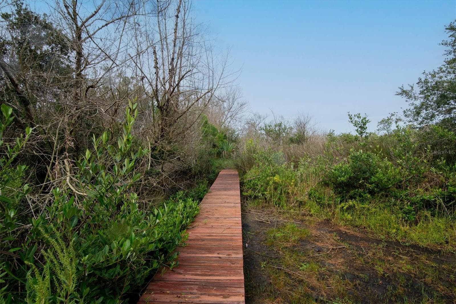 Private walkway to small fishing dock on water - 1835 OAK PL, FLAGLER BEACH